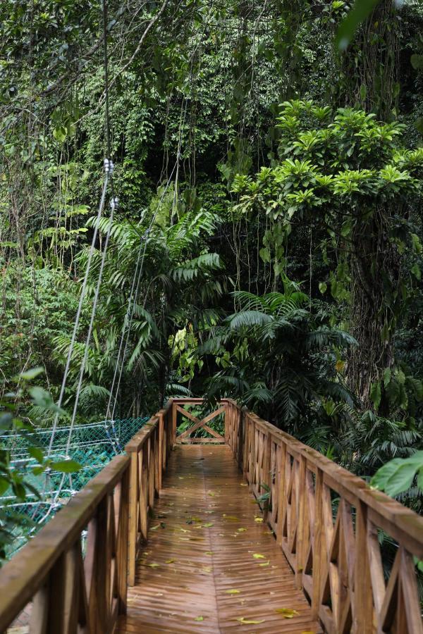 Jade Jungle Resort Teakettle Village 外观 照片