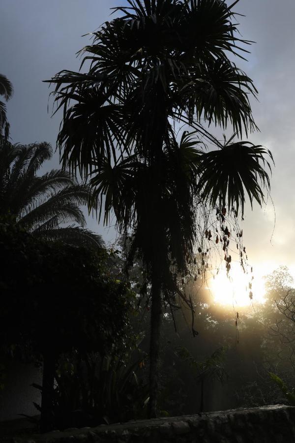 Jade Jungle Resort Teakettle Village 外观 照片
