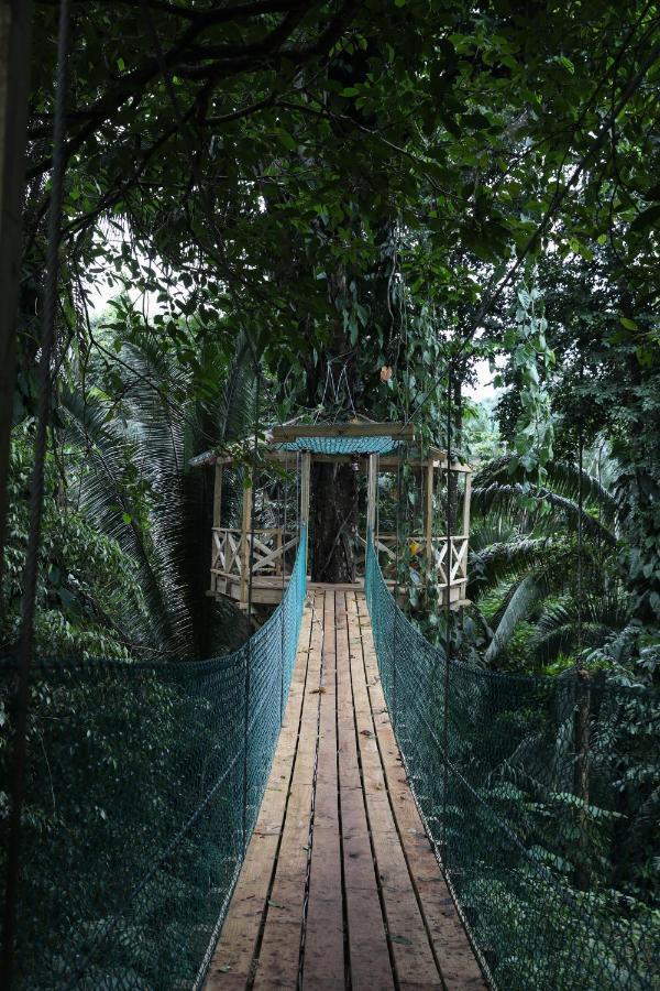 Jade Jungle Resort Teakettle Village 外观 照片