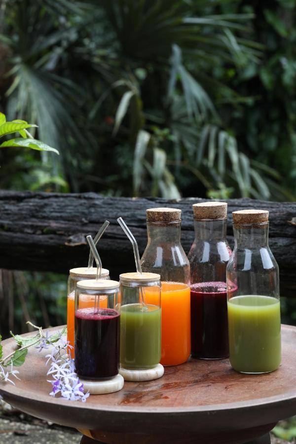 Jade Jungle Resort Teakettle Village 外观 照片